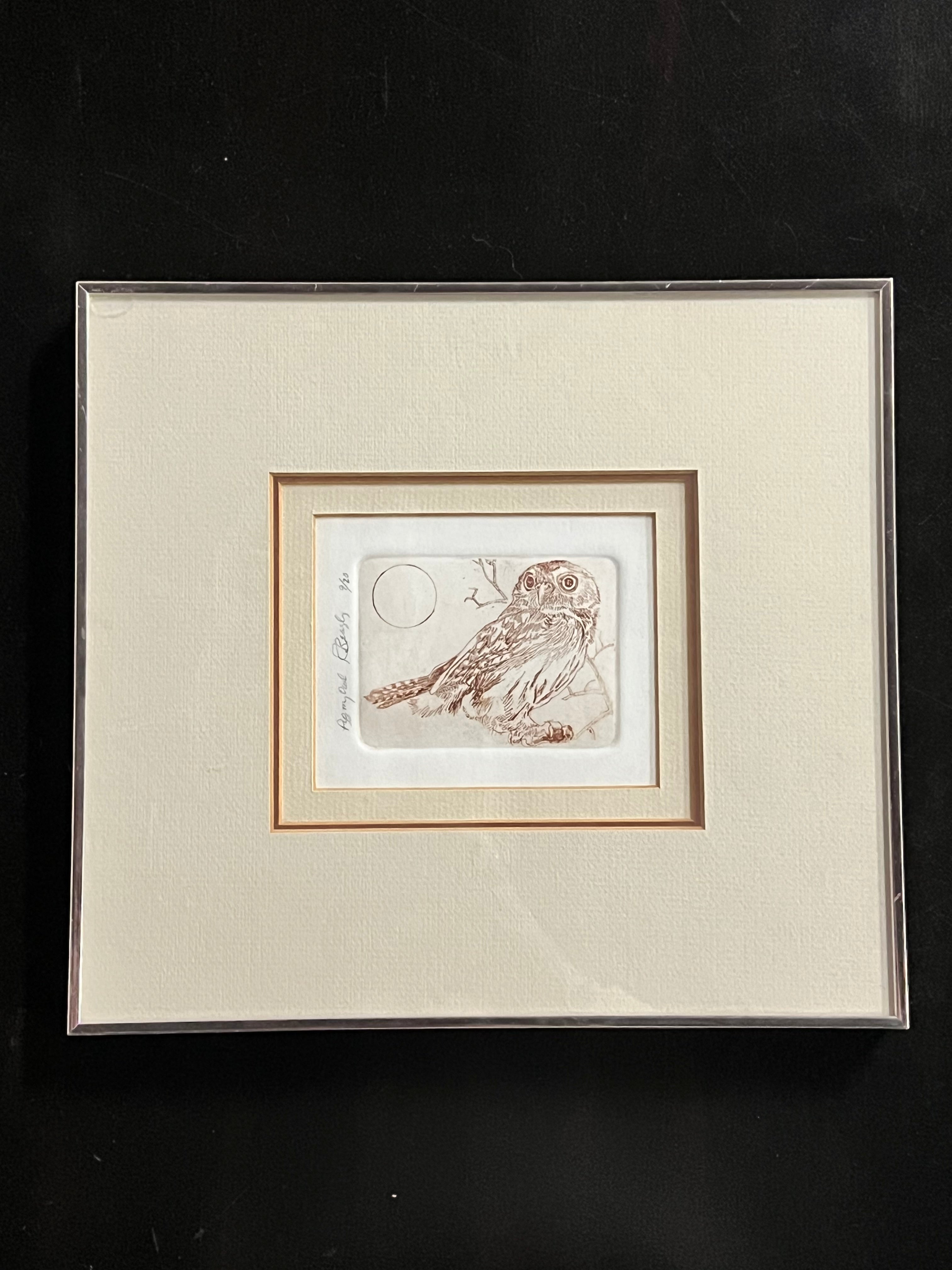 Framed Limited Edition Print by Pearce Bates