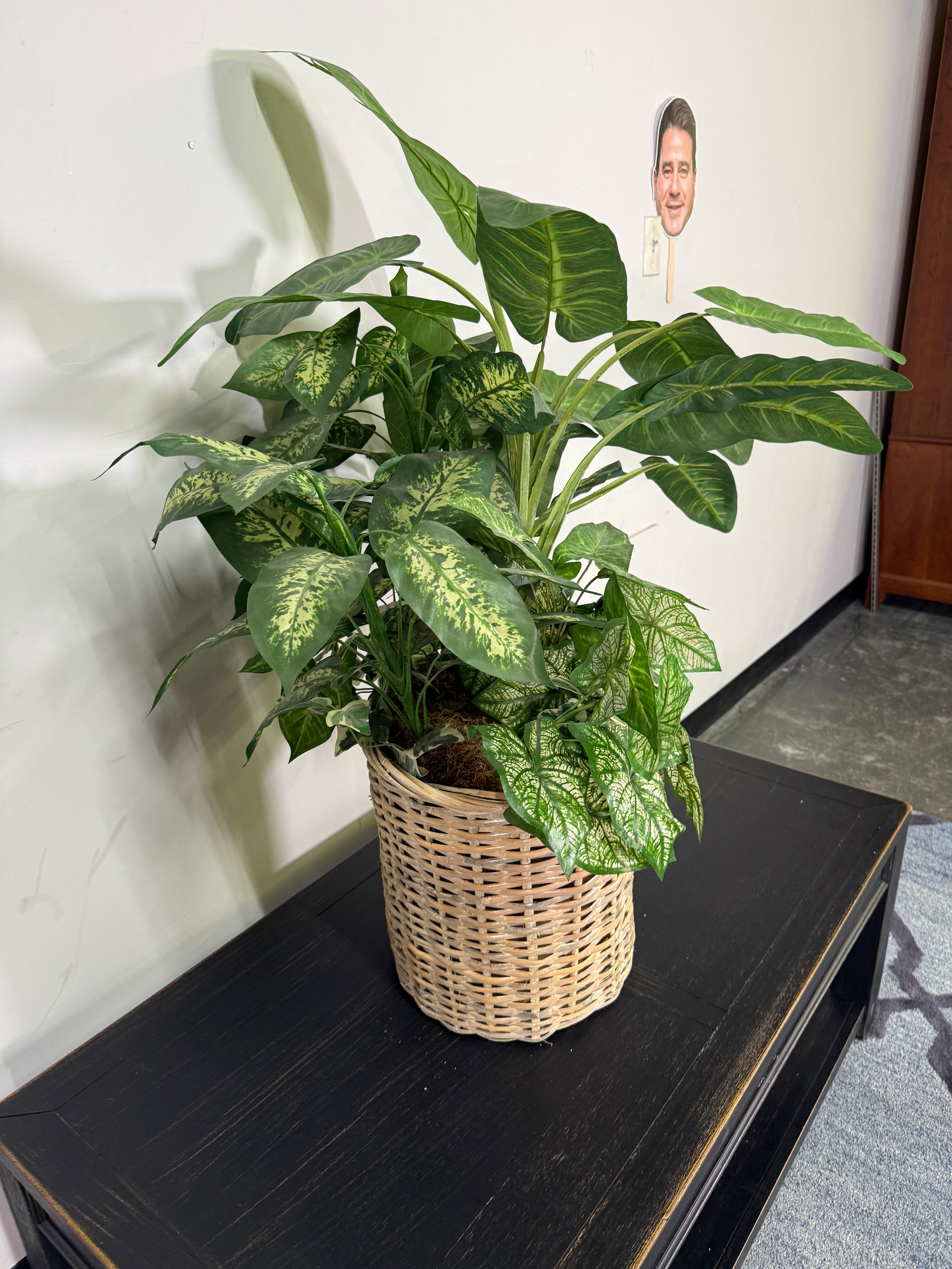 Lush Mixed Greenery Arrangement in Woven Basket